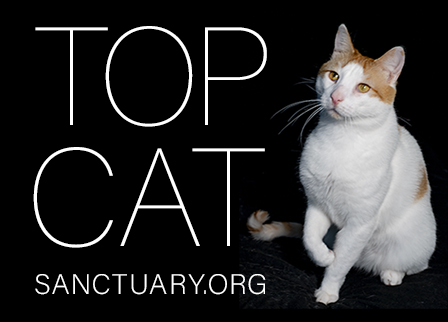 Top Cat Sanctuary Logo